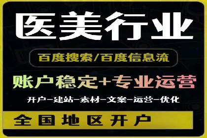 行业领先的SEM投放效果案例解析